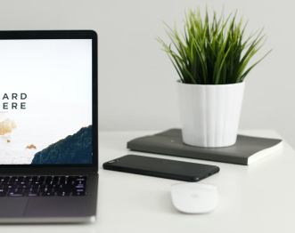 Laptop and plant on a desk